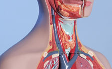 Picture for category | Diabetes, Hemoglobin