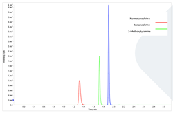 Show details for FloMass® Total Metanephrine in Urine Picture of FloMass® Total Metanephrine in Urine