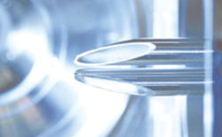 Picture of ClinMass® Complete Kit for 25-OH-Vitamin D2/D3 in Plasma and Serum - AUTOMATED On-line Analysis